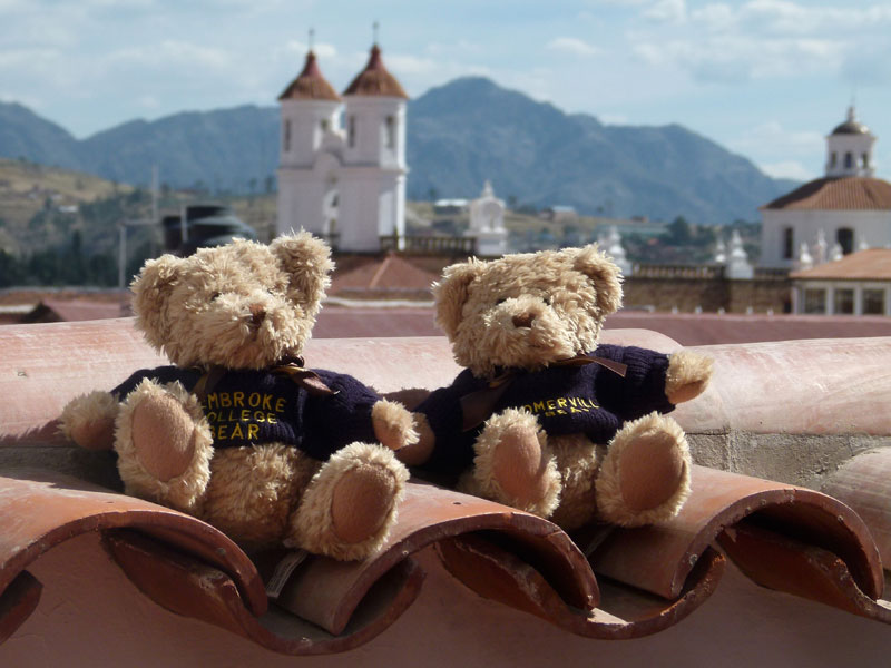 bear3