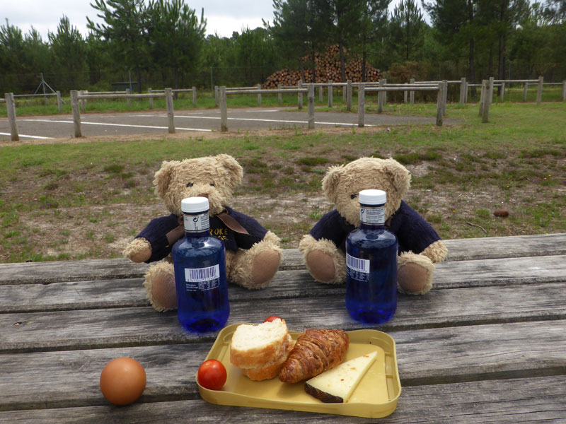 picnic