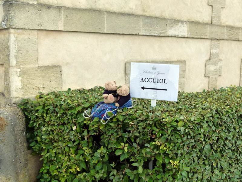 yquem