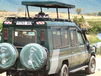 ngo8