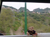 tao21