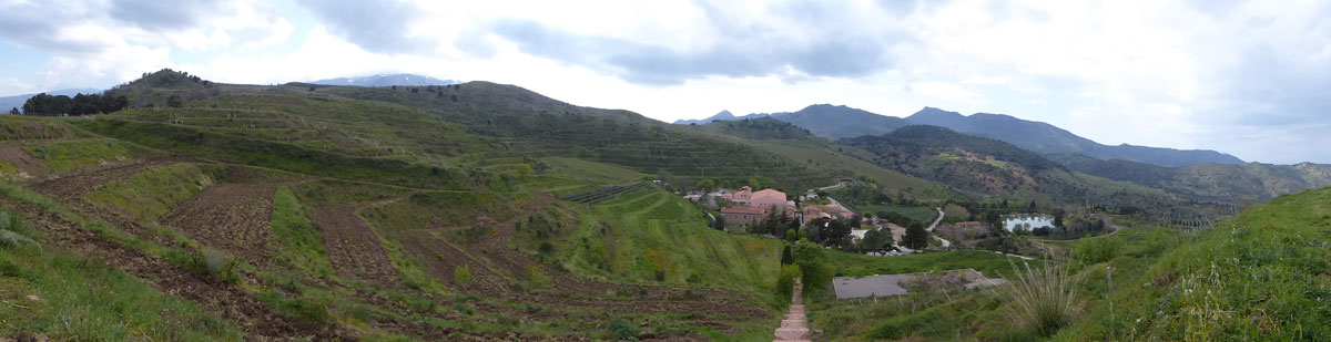 cefalupan